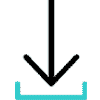 Download Icon